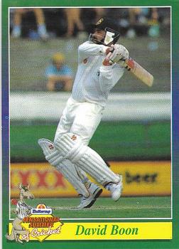 1995 Buttercup Sensational Summer of Cricket #NNO David Boon Front