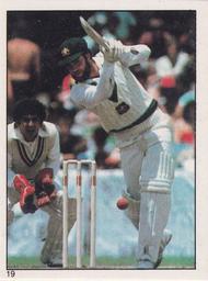 1982 Scanlens Cricket Stickers #19 Greg Chappell Front