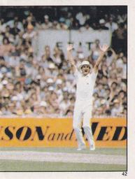 1983 Scanlens Cricket Stickers #42 David Hookes / Ian Botham Front