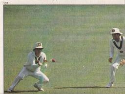 1984 Scanlens Cricket Stickers #137 Allan Border / Mohsin Khan Front
