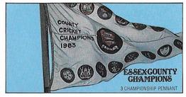 1984 Shelley's Ice Cream Essex County Cricket Champions #3 Championship Pennant Front