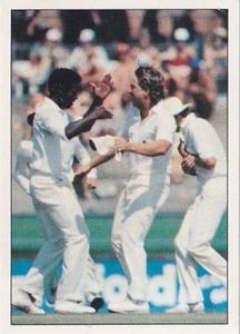 1985 Scanlens Cricket Stickers #53 Norman Cowans / Ian Botham Front