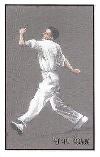 1994 County Print Services 1920's Test Cricketers (Series 2) #14 Tim Wall Front