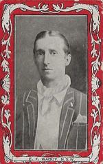 1910 Wills's Australian & South African Cricketers #NNO Ernest Waddy Front