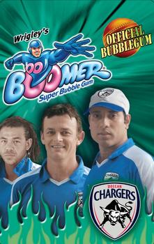 2009-10 Boomer IPL #NNO Scott Styris Back