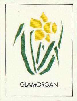 1992 County Print Services Famous Cricket Crests #13 Glamorgan Front