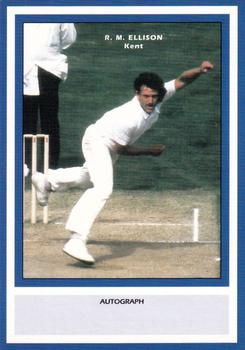 1993 County Print Services County Cricketers Autograph Series #80 Richard Ellison Front