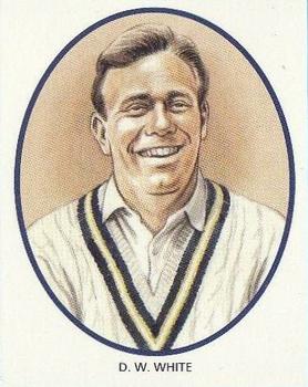 1993 County Print Services Hampshire Test Cricketers #24 David White Front