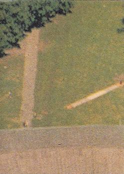 1981 Scanlens Cricket #39 Bruce Edgar Back