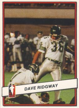 1985 JOGO #76 Dave Ridgway Front