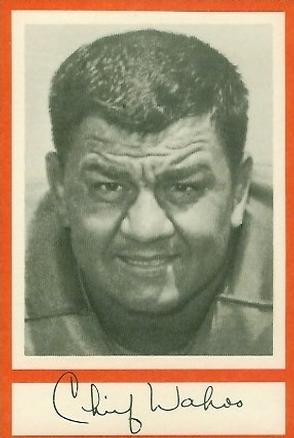 1967 Royal Castle Miami Dolphins #NNO Wahoo McDaniel Front