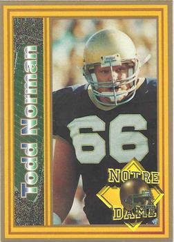 1993 Notre Dame Fighting Irish #NNO Todd Norman Front