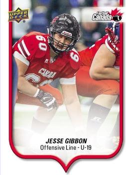 2016 Upper Deck USA Football #180 Jesse Gibbon Front