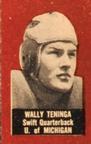 1950 Topps Felt Backs #NNO Wally Teninga Front