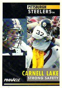 1991 Pinnacle #337 Carnell Lake Front