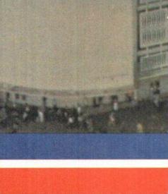 1979 Fleer Team Action - Stickers (Hi-Gloss Patches) #NNO Cincinnati Bengals Helmet Back