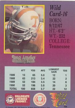 1991 Wild Card Draft - 5 Stripe #16 Greg Amsler Back