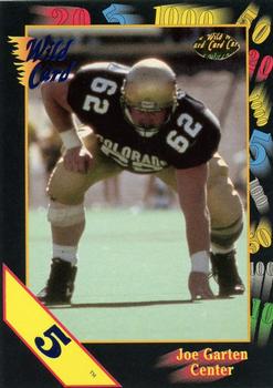1991 Wild Card Draft - 5 Stripe #108 Joe Garten Front