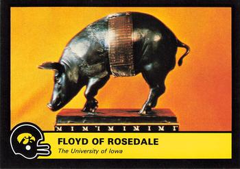 1986 Iowa Hawkeyes #NNO Floyd Of Rosedale Front
