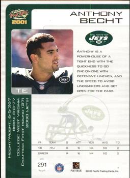 2001 Pacific - Hobby LTD #291 Anthony Becht Back