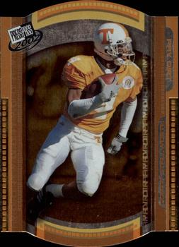 2002 Press Pass - Paydirt Die Cuts #PD9 Donte Stallworth Front