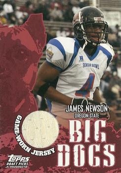 2004 Topps Draft Picks & Prospects - Big Dog Relics #BD-JNE James Newson Front