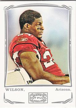 2009 Topps Mayo - Silver #7 Adrian Wilson Front
