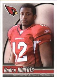 2010 Panini NFL Sticker Collection #479 Andre Roberts Front