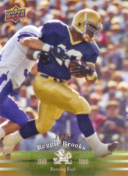 2013 Upper Deck University of Notre Dame - Gold #61 Reggie Brooks Front