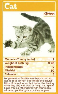 2010 Top Trumps Baby Animals #NNO Cat Front
