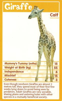 2010 Top Trumps Baby Animals #NNO Giraffe Front