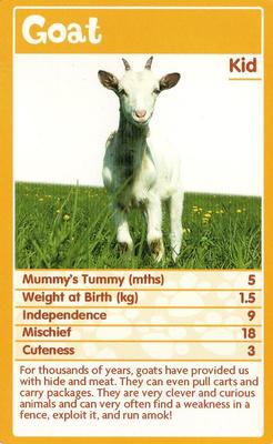 2010 Top Trumps Baby Animals #NNO Goat Front