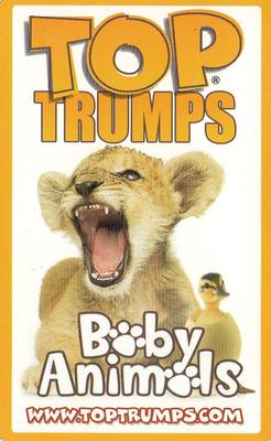 2010 Top Trumps Baby Animals #NNO Llama Back