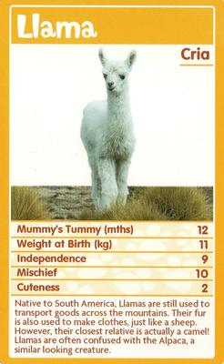 2010 Top Trumps Baby Animals #NNO Llama Front
