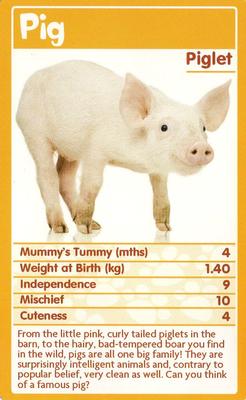2010 Top Trumps Baby Animals #NNO Pig Front