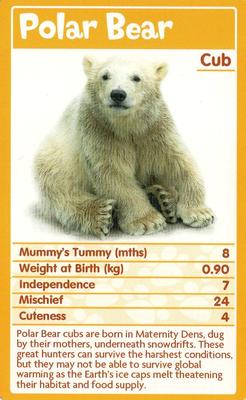 2010 Top Trumps Baby Animals #NNO Polar Bear Front