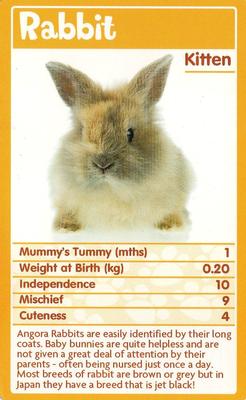 2010 Top Trumps Baby Animals #NNO Rabbit Front