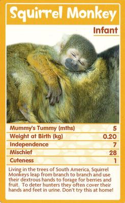 2010 Top Trumps Baby Animals #NNO Squirrel Monkey Front