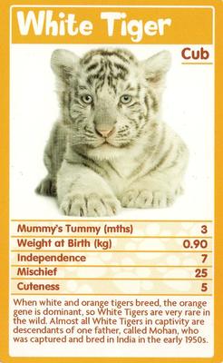 2010 Top Trumps Baby Animals #NNO White Tiger Front