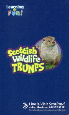2007 Scottish Wildlife Trumps #NNO Golden Eagle Back