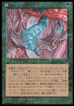 1995 Magic the Gathering Chronicles Japanese #31 Cocoon Front