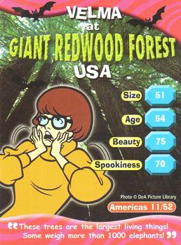 2004 DeAgostini Scooby-Doo! World of Mystery - Americas #11 Velma at Giant Redwood Forest - USA Front