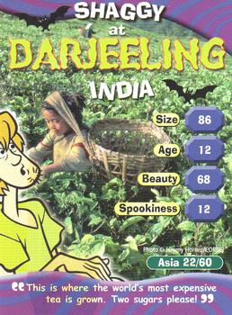 2004 DeAgostini Scooby-Doo! World of Mystery - Asia #22 Shaggy at Darjeeling - India Front