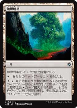 2018 Magic the Gathering Masters 25 Japanese #243 無限地帯 Front