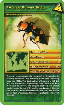2007 Top Trumps Wildlife in Danger #NNO American Burying Beetle Front
