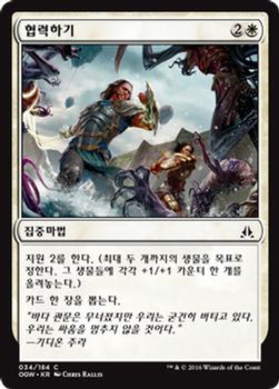 2016 Magic the Gathering Oath of the Gatewatch Korean #34 협력하기 Front