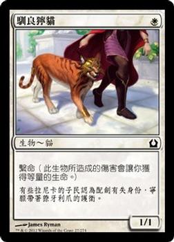 2012 Magic the Gathering Return to Ravnica Chinese Traditional #27 馴良獰貓 Front