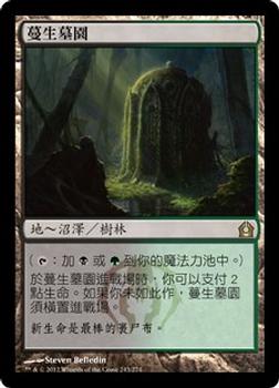 2012 Magic the Gathering Return to Ravnica Chinese Traditional #243 蔓生墓園 Front
