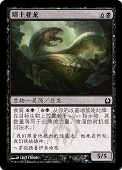 2012 Magic the Gathering Return to Ravnica Chinese Simplified #80 培土亚龙 Front