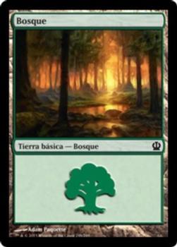 2013 Magic the Gathering Theros Spanish #248 Bosque Front